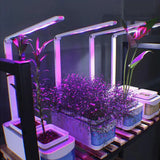 Load image into Gallery viewer, Hydroponic Indoor Herb Garden Kit